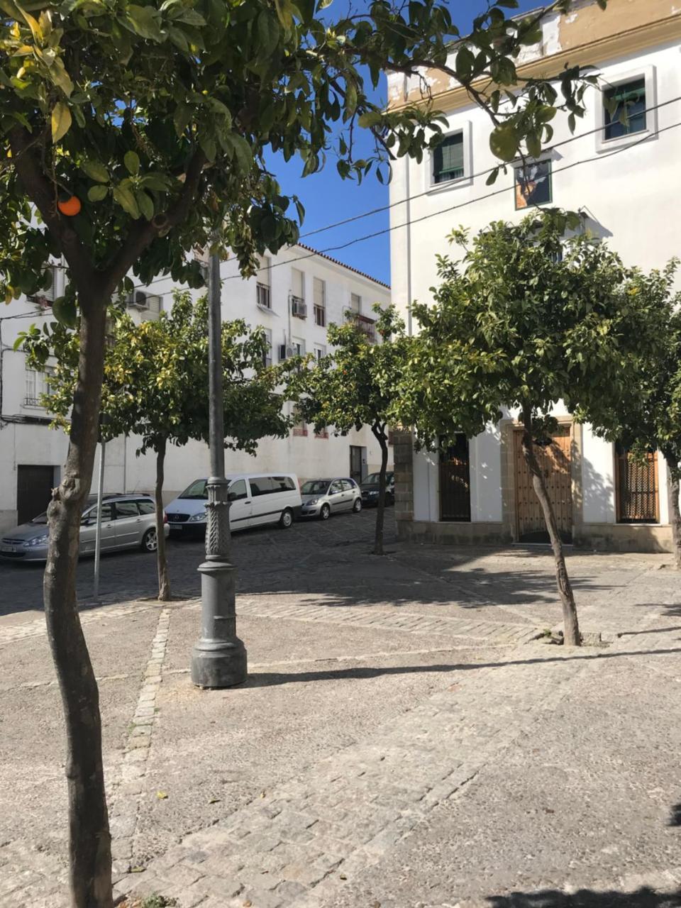 Apartamento !!Vive Jerez!! 赫雷斯 外观 照片